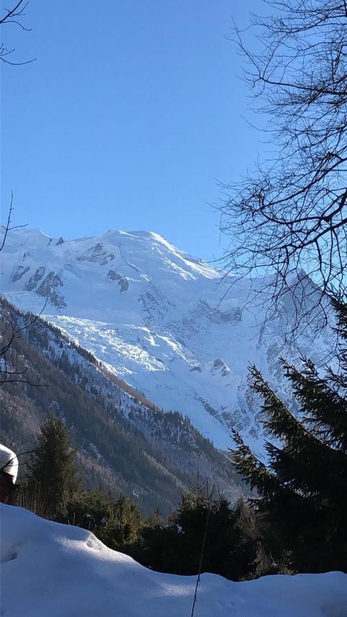 Appartement Chamonix Montblanc 1 A 4 Personnes Экстерьер фото