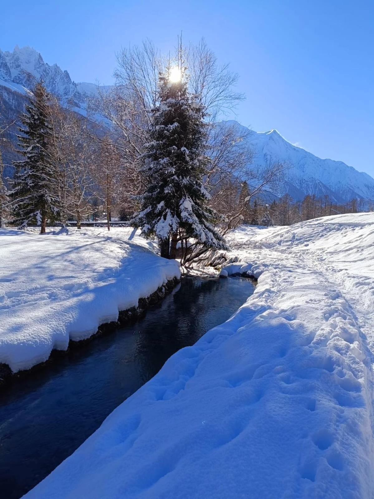 Appartement Chamonix Montblanc 1 A 4 Personnes Экстерьер фото