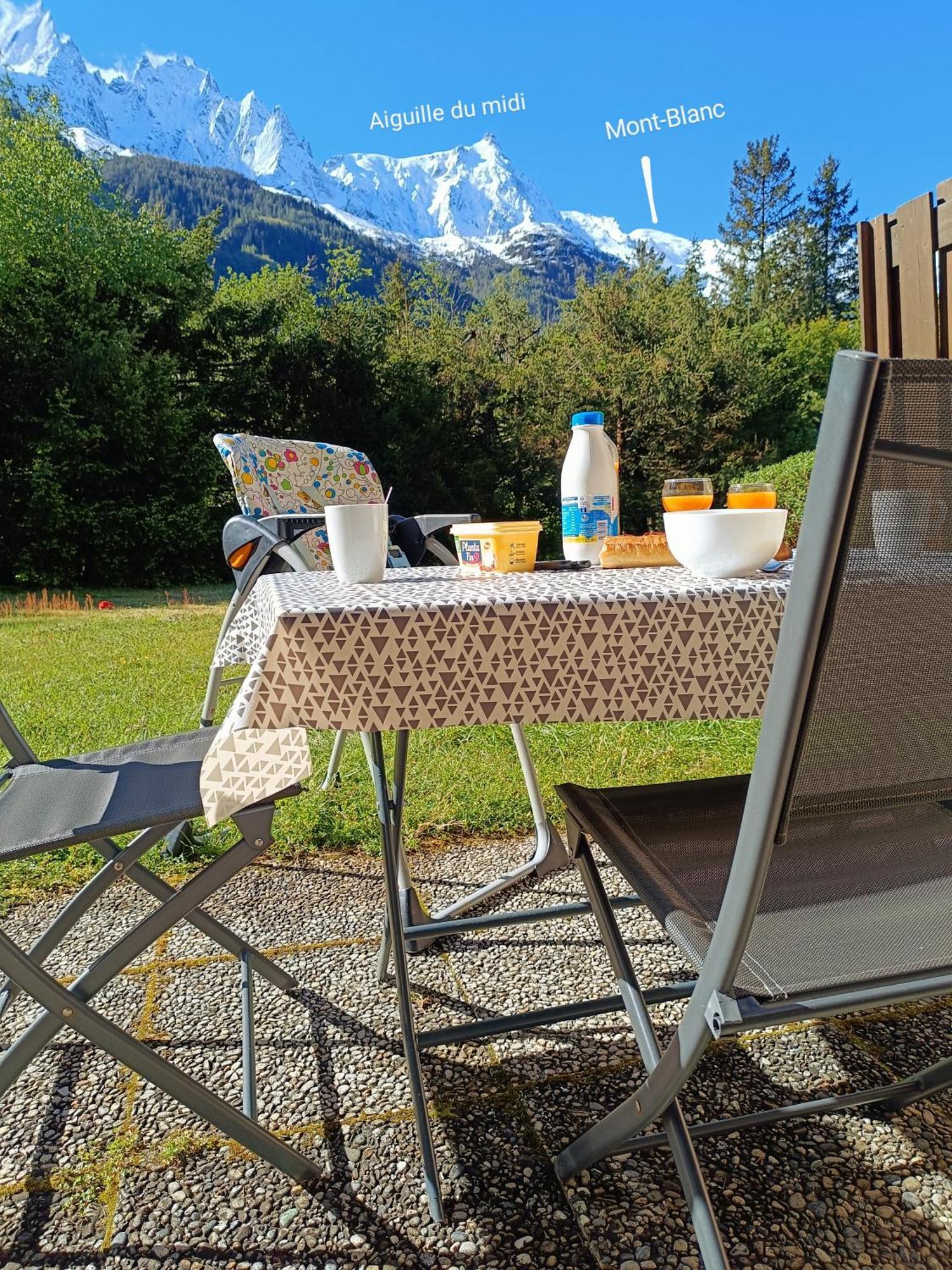 Appartement Chamonix Montblanc 1 A 4 Personnes Экстерьер фото
